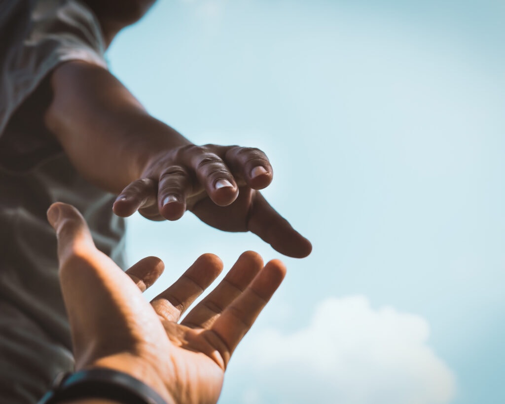 adio trust nz needle exchange programme harm redution no judgment 31